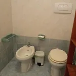 Apartment Torre